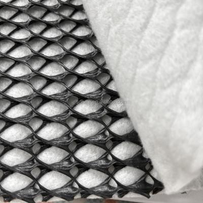 HDPE Composite Drainage Net With Geotextile