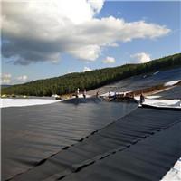 HDPE Geomembrane Black Pond Liner