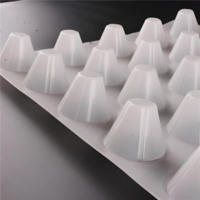 HDPE Protection Drain Board	for Foundation Waterproofing