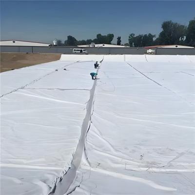 PP Short Fiber Geotextile for Landfill Project