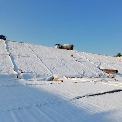 Anti Erosion 250gsm Non Woven Geotextile River Slope Protection Drainage Fabric