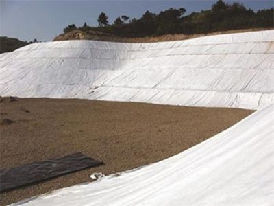 Anti Freeze Long Filament PET Geotextile Coastal Erosion