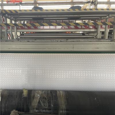 High Quality Anti-Corrosion HDPE Dimple Drainage Board 