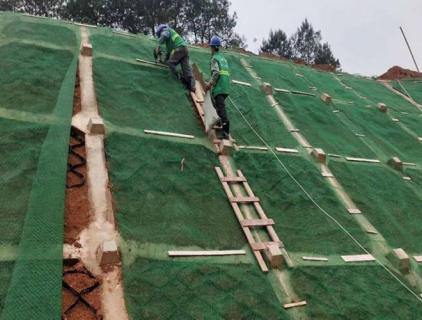 Application Case of 3D Geomat in River Ecological Restoration Project