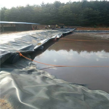 the Water Quality for the HDPE Geomembrane's Impact.jpg the Water Quality for the HDPE Geomembrane's Impact.jpg