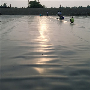 HDPE Pond Dam Liner.jpg HDPE Pond Dam Liner.jpg