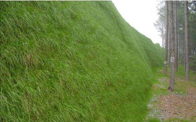 High Quality Three-dimensional Geomat.jpg High Quality Three-dimensional Geomat.jpg