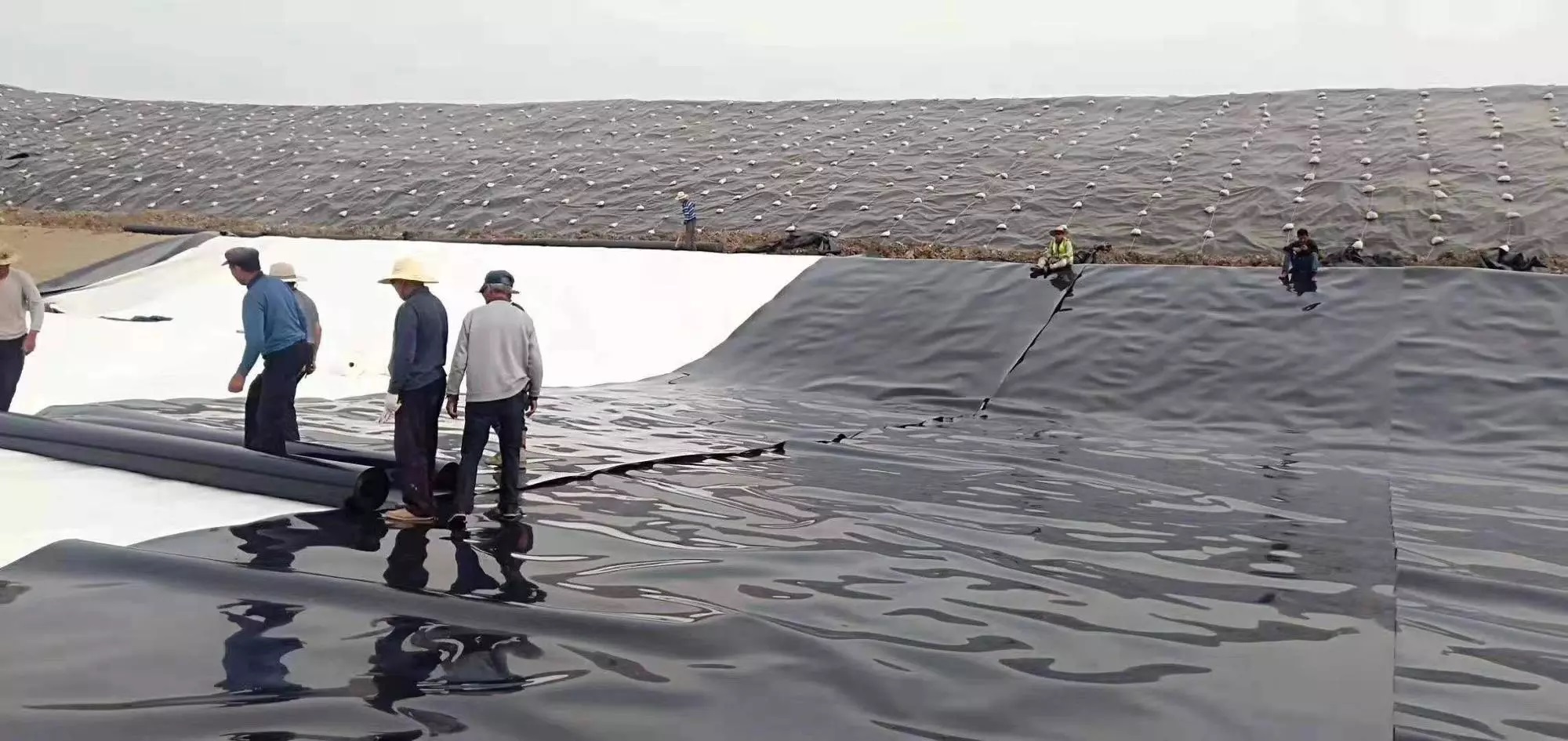 Pond Liner for Shrimp Fish Pond.jpg