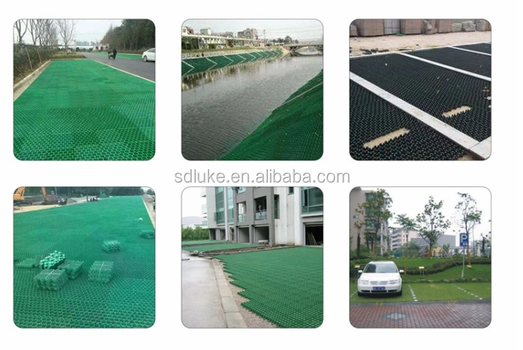 High Quality HDPE Plastic Grass Grid High Quality HDPE Plastic Grass Grid