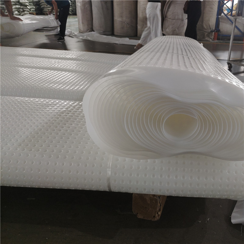 Plastic Foundation Dimpled  Drainage Board.jpg