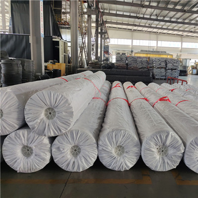 HDPE Smooth Geomembrane Liner Manufacturer.jpg