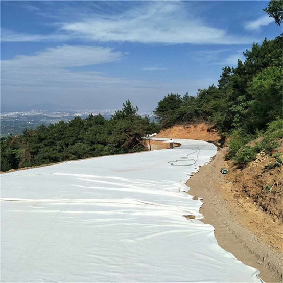 Geotextile Filter Fabric Installation Tips.jpg