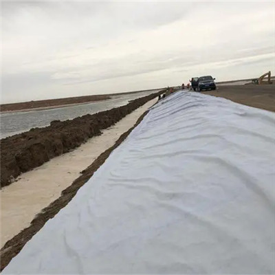 Geotextile Filter Fabric.jpg