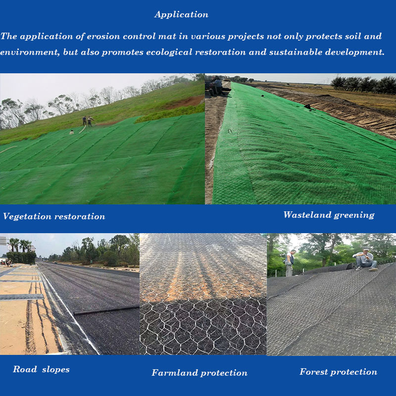 Erosion Control Netting Application.jpg