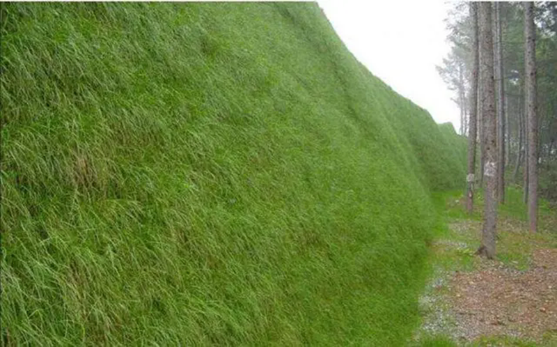 3D Erosion Control Blanket Application.png