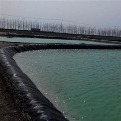 Geo membrane Liner For Aquaculture.jpg