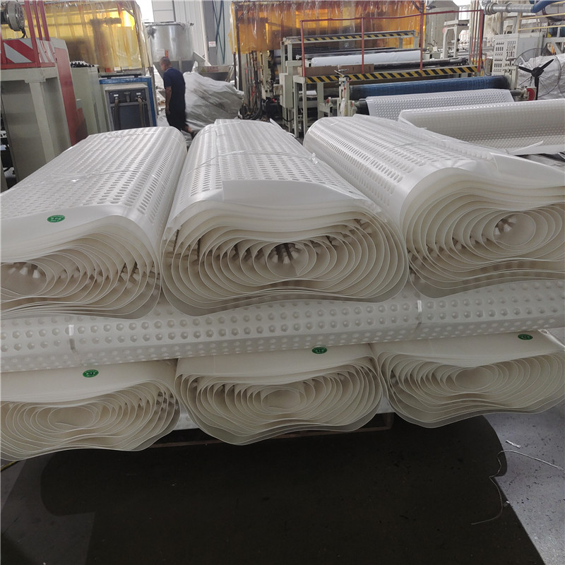 Wholesale  And Customized HDPE Dimple Drain Board.jpg