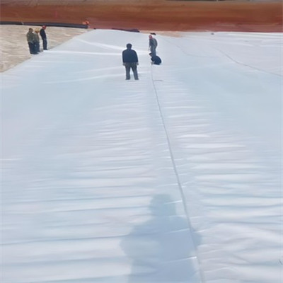 PP Geotextile Function.jpg