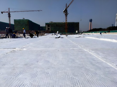 HDPE Composite Drainage Board.jpg