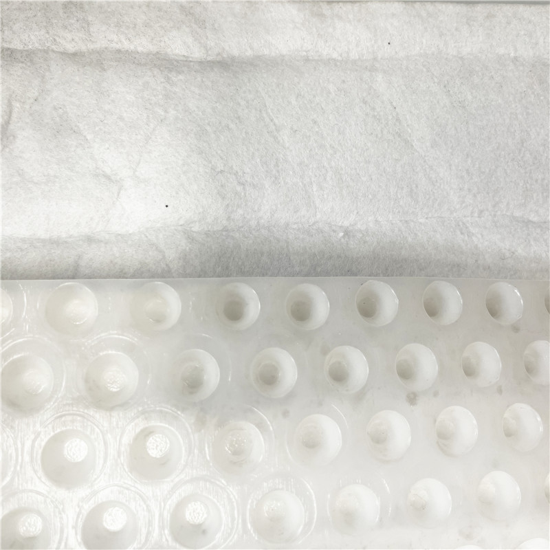 HDPE Geo textile Drainage Board For Roadbed.jpg