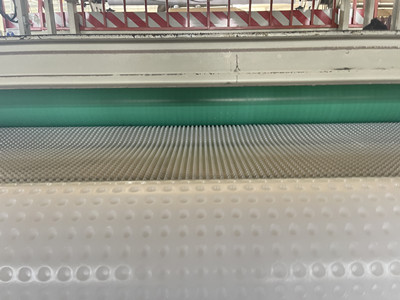 HDPE Dimple Drain Board.jpg HDPE Dimple Drain Board.jpg