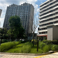 Rainwater Harvesting For Residence Community.jpg Rainwater Harvesting For Residence Community.jpg