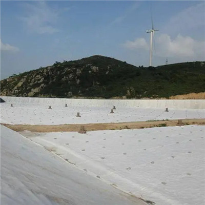 Staple Fiber Needle Punched Geotextile.jpg