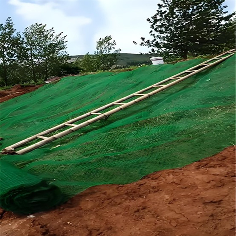 3D Geogrid Reinforced .jpg