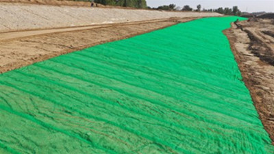 3D Vegetation Mat.jpg 3D Vegetation Mat.jpg