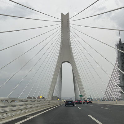 copper-coated steel fibers.jpg