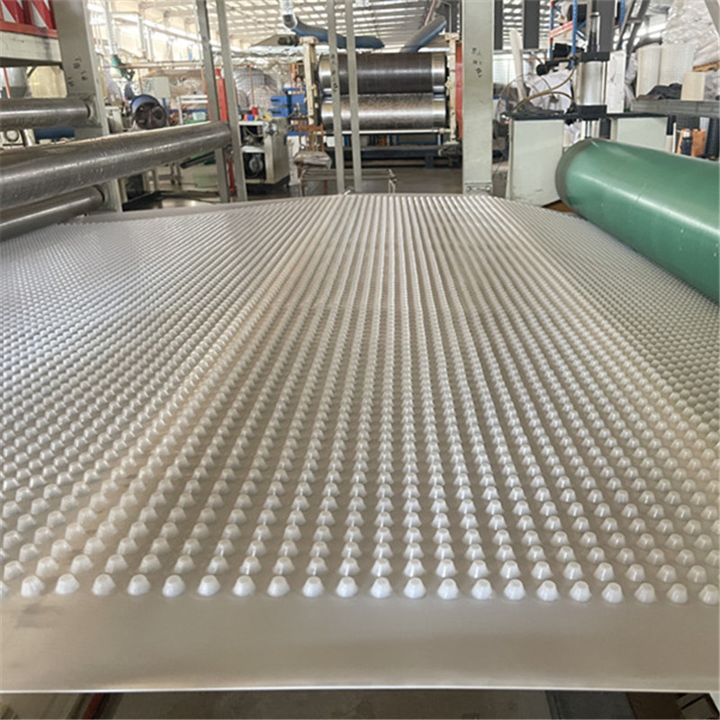 HDPE Drainage Board.jpg HDPE Drainage Board.jpg