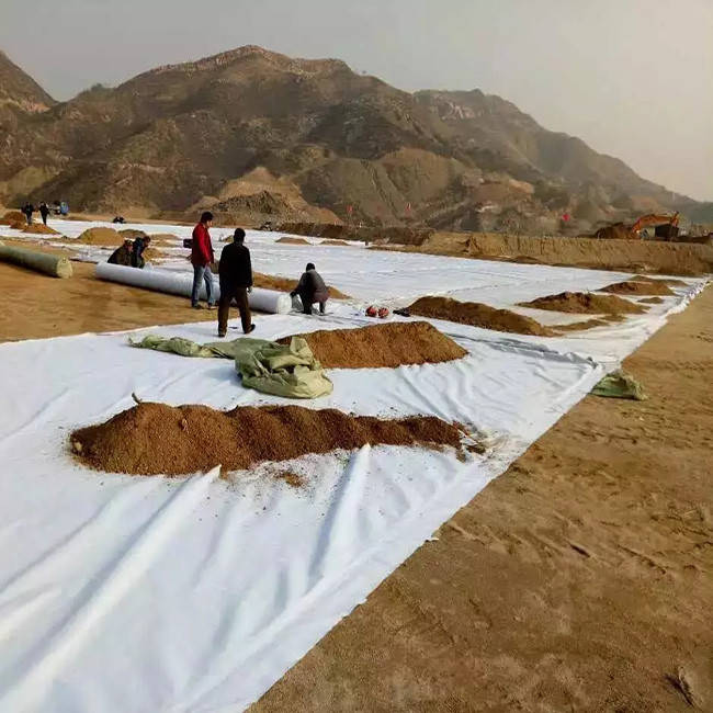 Soil Stabilization Needle Punched Geotextile.jpeg