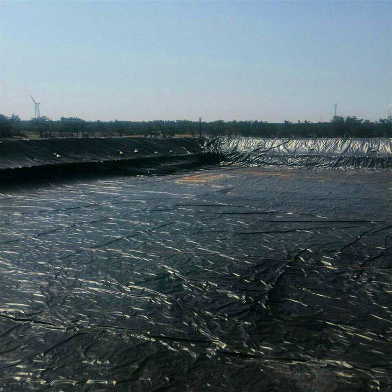 HDPE Geomembrane Pond Liner.jpg HDPE Geomembrane Pond Liner.jpg