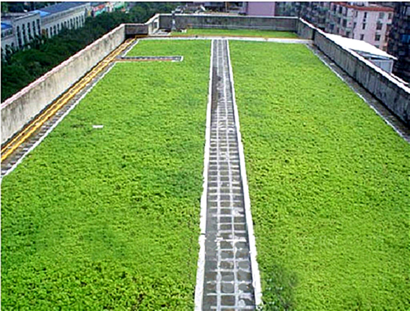 Dimple Drain Board for Roof Garden.jpg