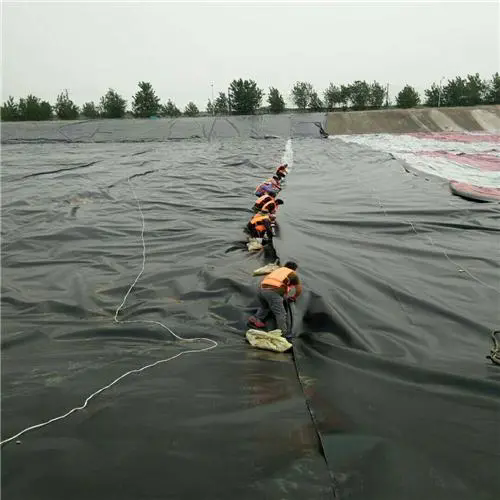 HDPE Geomembrane for Pond Liner.png HDPE Geomembrane for Pond Liner.png