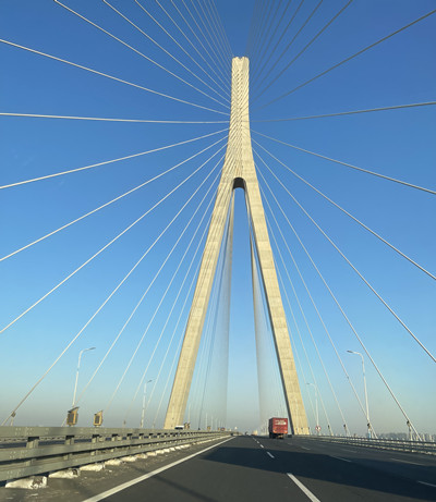 PP Micro Fiber for Bridge Deck.jpg PP Micro Fiber for Bridge Deck.jpg