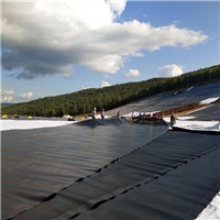 HDPE Geomembrane Waterproof Membrane Pond Liner.jpg