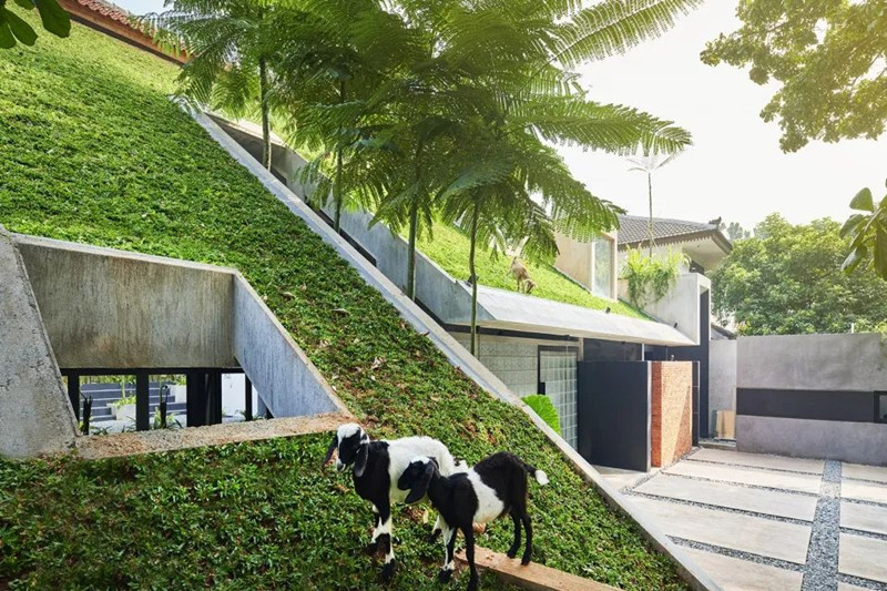 Composite Drainage Board for Green Rooftop Gardens.jpg