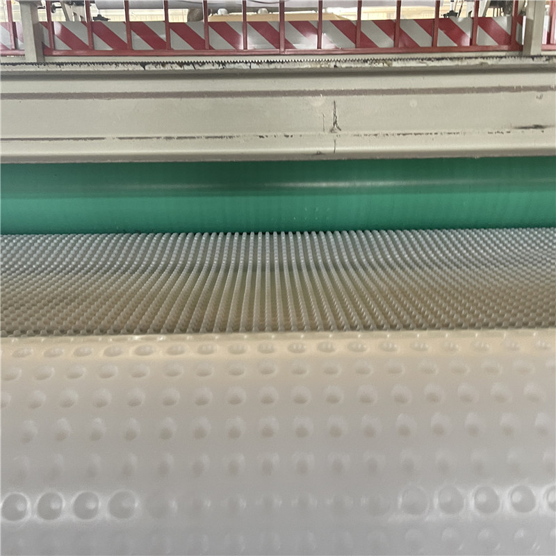 Custom HDPE Dimpled Drainage Board Wholesale Price.jpg Custom HDPE Dimpled Drainage Board Wholesale Price.jpg